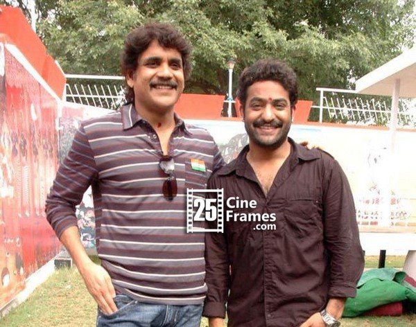 Good News to Nagarjuna and NTR's Fans