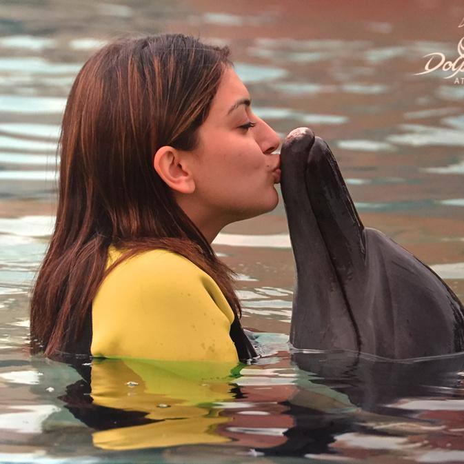 Pic Talk Hot Heroine Hansika's Cute Kiss to Dolphin