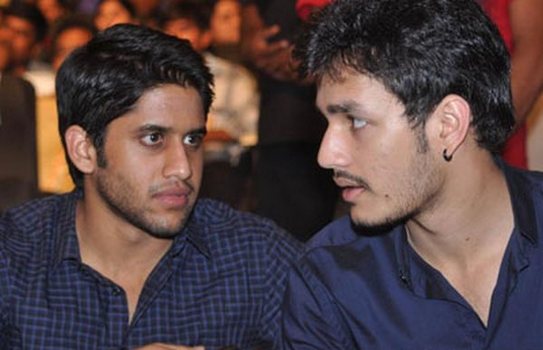 Actor Naga Chaitanya Seriously Fires on Akhil Akkineni