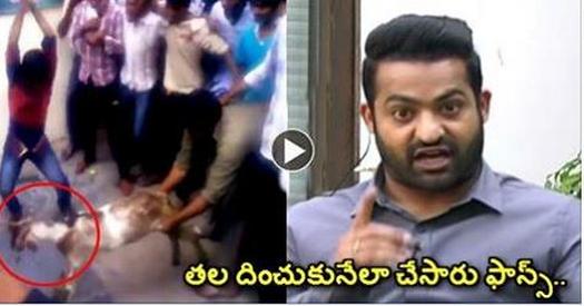 Jr Ntr Felt Ashamed of his Fans, Very Serious Warning to Fans