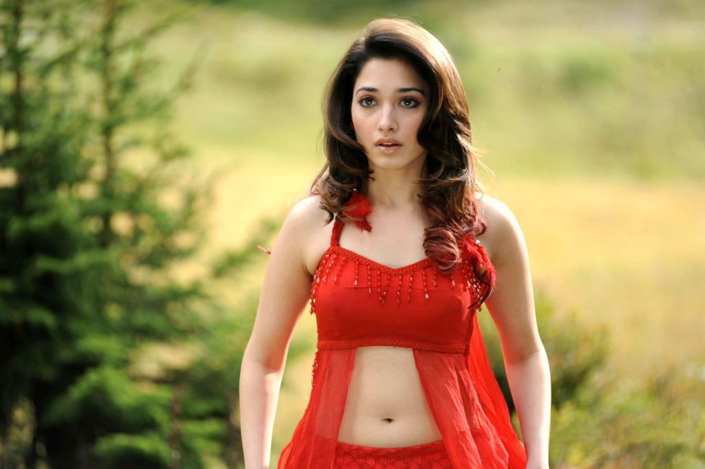 Tamannaah To Don The Same Role As Of Oopiri Movie in Its Bollywood Remake