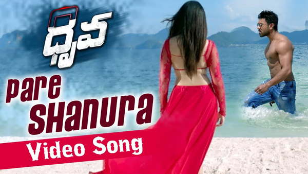 dhruva-pareshanuraa-video-song-promo