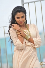 Amala Paul Stills In Iddarammayilatho