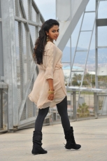 Amala Paul Stills In Iddarammayilatho