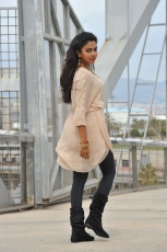 Amala Paul Stills In Iddarammayilatho