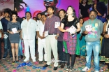 saradaga-ammaitho-audio-launch-0758dc9d