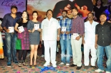 saradaga-ammaitho-audio-launch-24e7f943