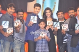 1 Nenokkadine Audio Launch Gallery