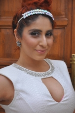 Neha Bhasin Hot Stills At 1 Nenokkadine Movie Audio Launch 25CineFrames