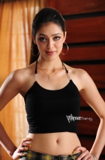 Parvathi Melton hot navel