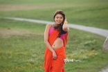 Pranitha Saree Hot Photos