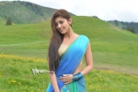 Pranitha Saree Hot Photos