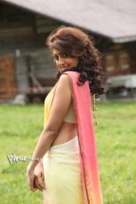 Praneetha Saree Hot Photos