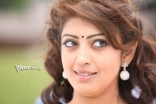 Pranitha Hot Saree Photo Stills