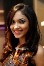 Ritu Varma Saree Photos