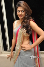 Shraddha Das Hot Navel Show in Saree