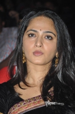 Anushka Cute Stills at Varna Audio Launch