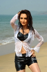 Druthi Hot Photo Gallery