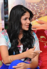 Lavanya Tripathi at Doosukeltha Press Meet Gallery