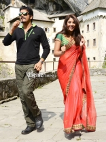 Nagarjuna Bhai Movie New Stills