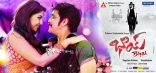 Nagarjuna Bhai Movie New Wallpapers