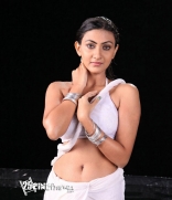 Neelam Upadhyaya Hot Wet Stills In Action 3D