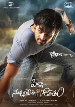 Pilla Nuvvuleni Jeevitham Posters