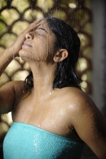 Priyamani Hot Photos