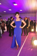 Samantha at Project 511 Dinner Charity