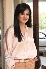 Vimala Raman New Hot Photos 25CineFrames