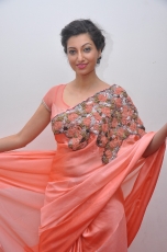 Hamsa Nandini Hot Stills at Legend Audio Launch 25CineFrames