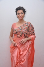 Hamsa Nandini Hot Stills at Legend Audio Launch 25CineFrames