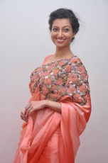 Hamsa Nandini Hot Stills at Legend Audio Launch 25CineFrames