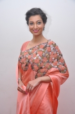 Hamsa Nandini Hot Stills at Legend Audio Launch 25CineFrames