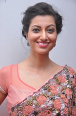 Hamsa Nandini Hot Stills at Legend Audio Launch 25CineFrames