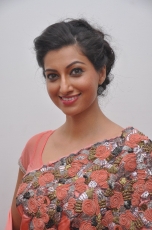 Hamsa Nandini Hot Stills at Legend Audio Launch 25CineFrames