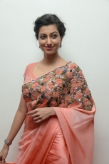 Hamsa Nandini Hot Stills at Legend Audio Launch 25CineFrames