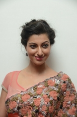 Hamsa Nandini Hot Stills at Legend Audio Launch 25CineFrames