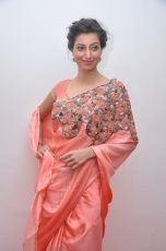 Hamsa Nandini Hot Stills at Legend Audio Launch 25CineFrames