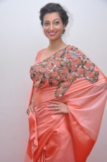 Hamsa Nandini Hot Stills at Legend Audio Launch 25CineFrames