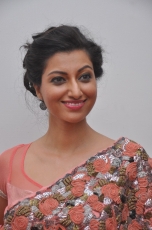 Hamsa Nandini Hot Stills at Legend Audio Launch 25CineFrames