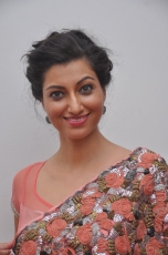 Hamsa Nandini Hot Stills at Legend Audio Launch 25CineFrames