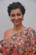 Hamsa Nandini Hot Stills at Legend Audio Launch 25CineFrames