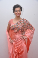 Hamsa Nandini Hot Stills at Legend Audio Launch 25CineFrames