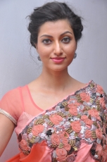 Hamsa Nandini Hot Stills at Legend Audio Launch 25CineFrames