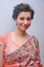 Hamsa Nandini Hot Stills at Legend Audio Launch 25CineFrames