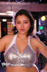 Swetha Basu Hot Photos 25CineFrames