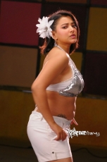 Swetha Basu Hot Photos 25CineFrames