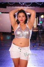 Swetha Basu Hot Photos 25CineFrames