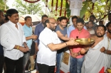 Allu Arjun Trivikram Srinivas New Film Launch Photos 25CineFrames